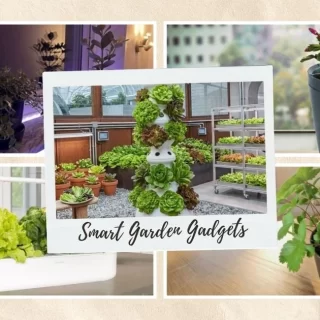15 Smart Garden Gadgets That Make Indoor Gardening Easy