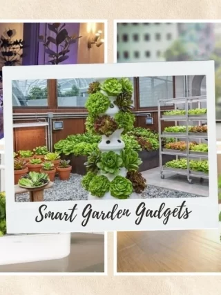 15 Smart Garden Gadgets That Make Indoor Gardening Easy