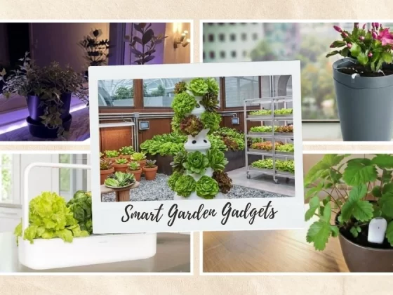 15 Smart Garden Gadgets That Make Indoor Gardening Easy