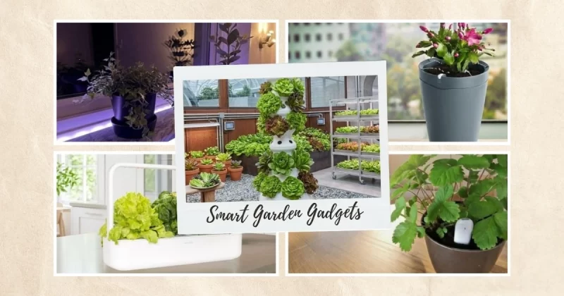 15 Smart Garden Gadgets That Make Indoor Gardening Easy